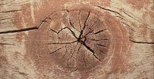 The basic defects and their account in various kinds of wood products