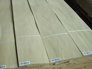 Beech Veneer