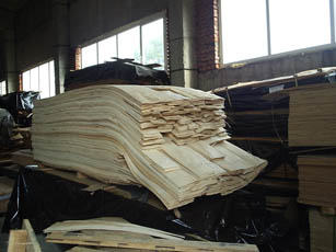 Sycamore Veneer in Stok